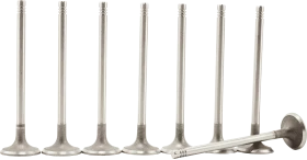 Клапана двигуна