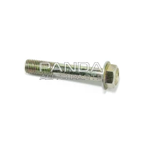 Болт заднього супорта нижній T11-3502033