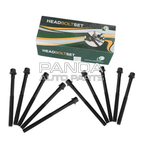 Болт головки блока цилиндров комплект  BGA 480-1003082