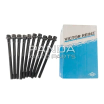 Болт головки блоку циліндрів комплект VICTOR REINZ 480-1003082