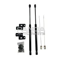 Амортизатори капота T11-8402010-AMORT