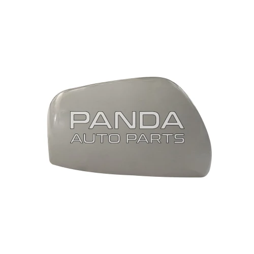 Накладка дзеркала права зовнішня T11-8202021-DQ