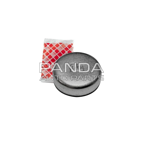 Заглушка блока цилиндров 25мм  FEBI E010500201