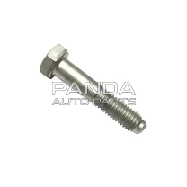 Болт супорта ОРИГІНАЛ A11-6GN2901061