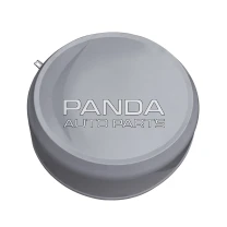 Колпак заднего колеса ОРИГИНАЛ T11-6302530BA-DQ