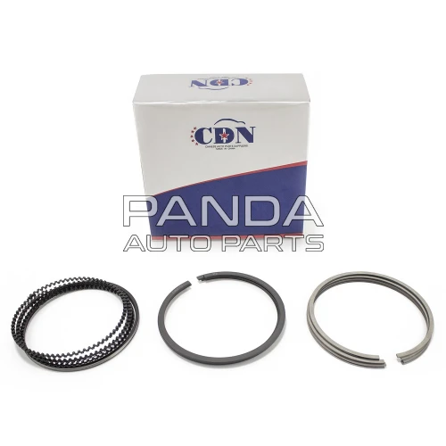 Кольца поршневые STD  CDN 484J-1004030