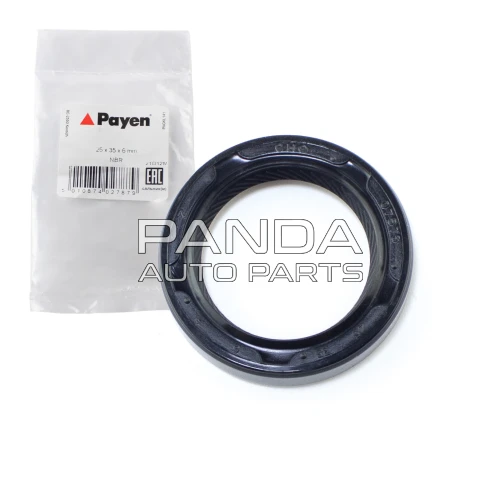 Сальник первичного вала КПП  PAYEN QR523-1701206