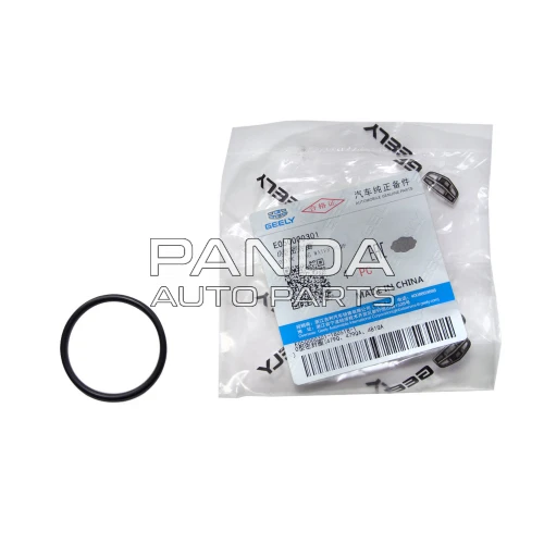 Прокладка помпи кільце ОРИГІНАЛ E050000301